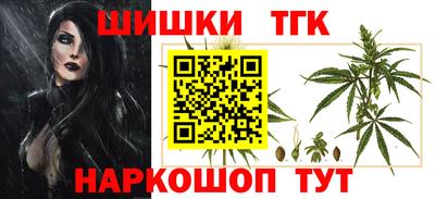 СК Партизанск